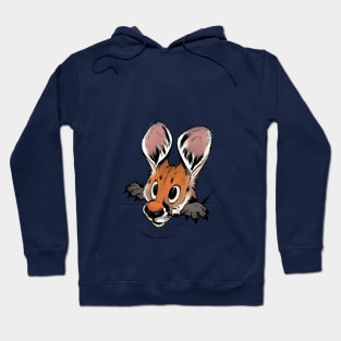 Joey in pouch Hoodie